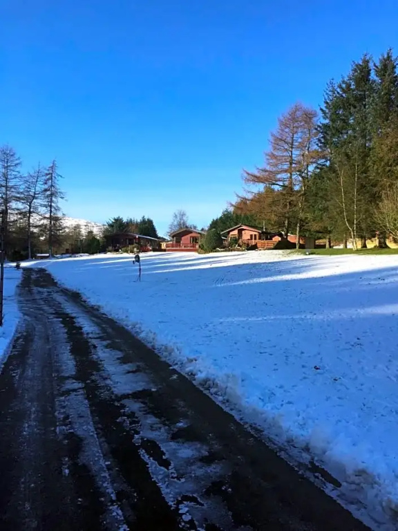 Lewis Lodge