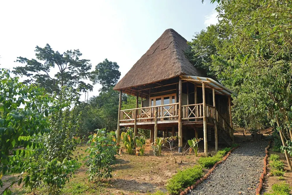 Bugoma Jungle Lodge