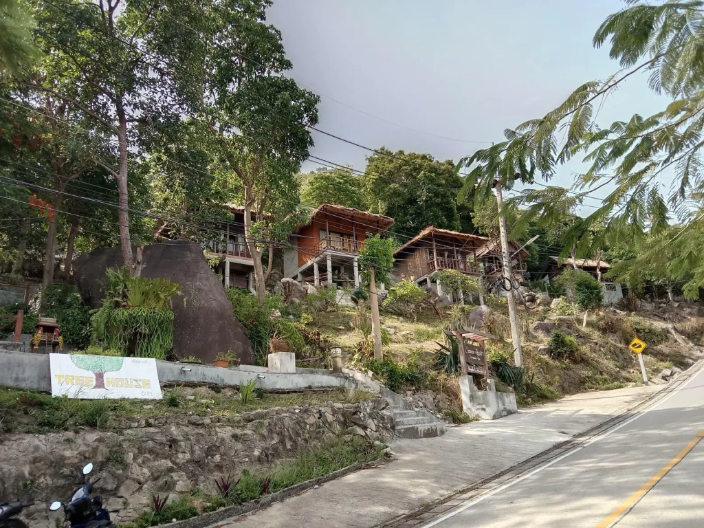 Tree House Bungalows Koh Tao