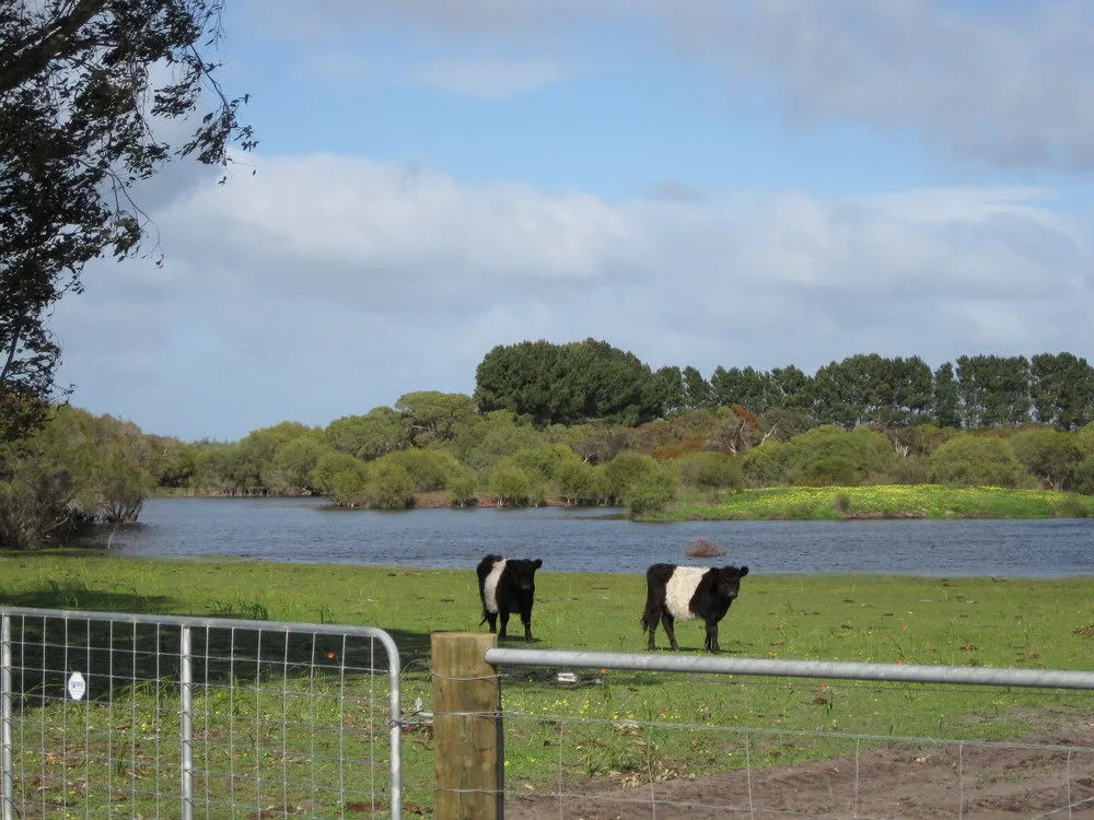 Sandy Lake Farm - Bed & Breakfast