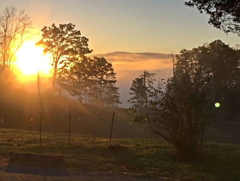 Cypress Ridge