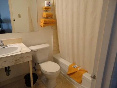 Lodge Motor Inn