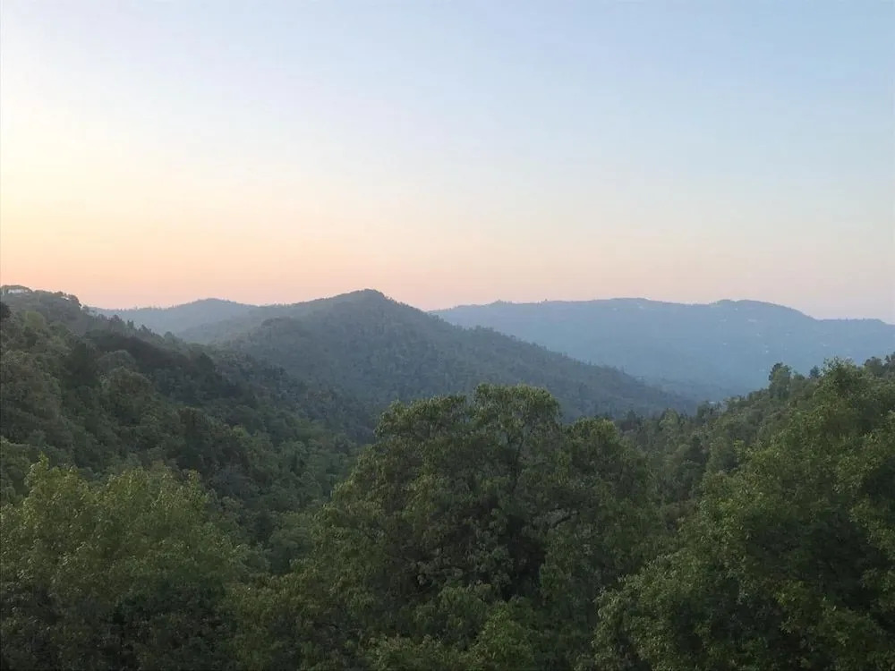 The Wonder Valley Resort