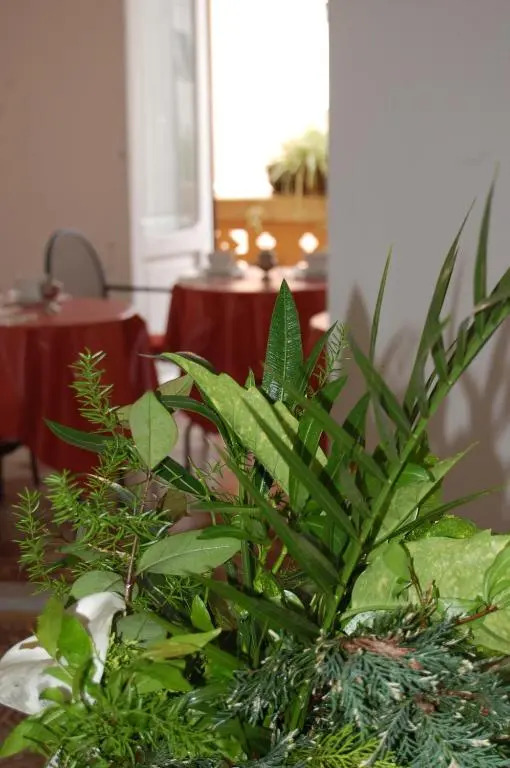 Arena Alfieri B&B
