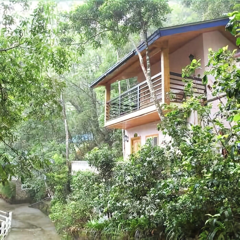 New Taoyuan Mountain Village
