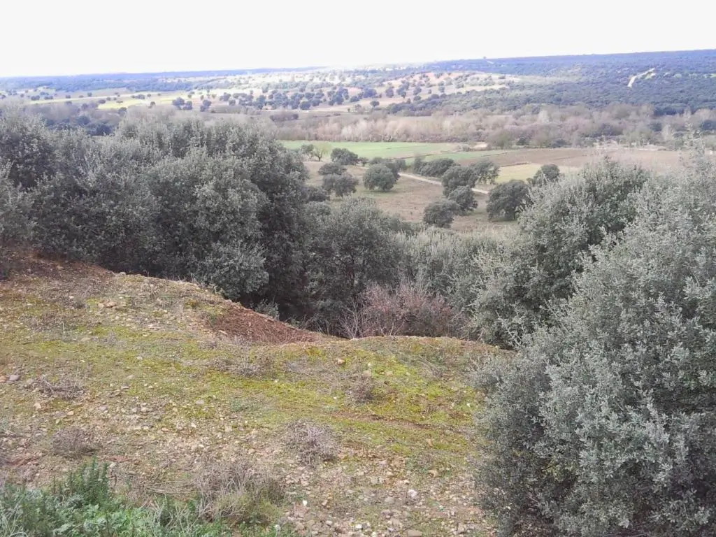 Posada la Reja