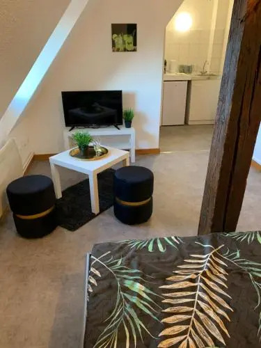 Studio à Ribeauvillé