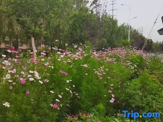 Yining Guanjuli Homestay（Ili River Scenic Area Homestay）