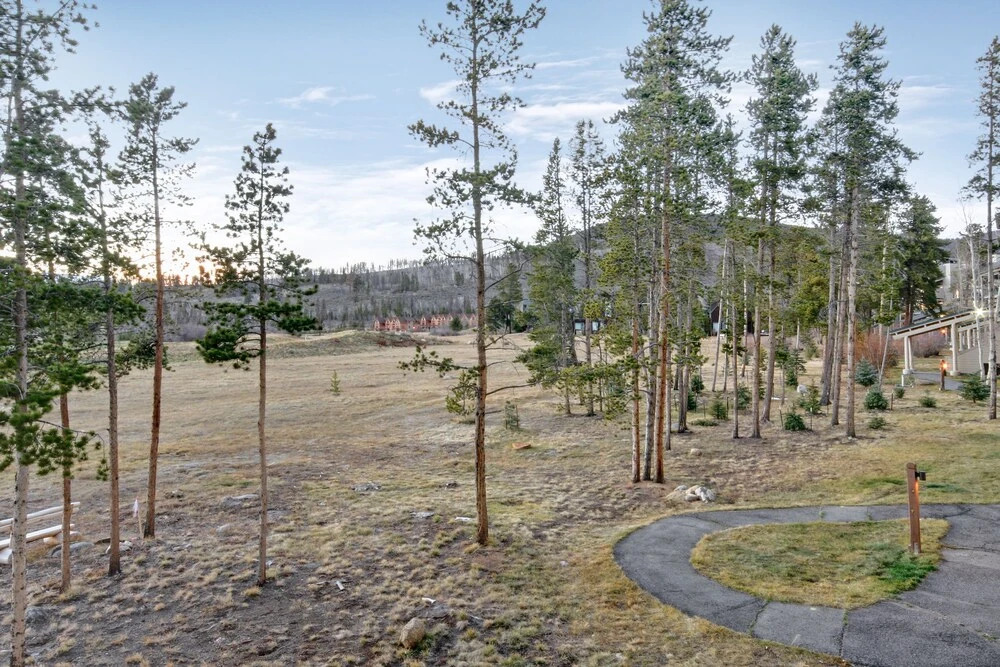 Pines 2136