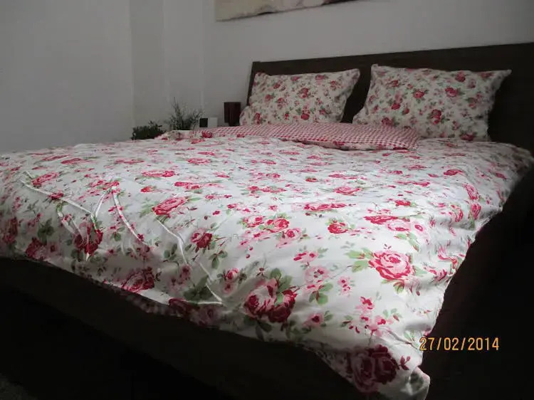 Haus99 Budget Pension & Apartments