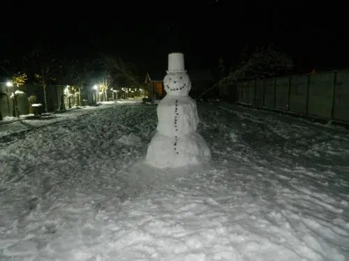 Котеджі Арлен