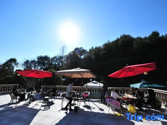 Rui Feng Mountain Hostel