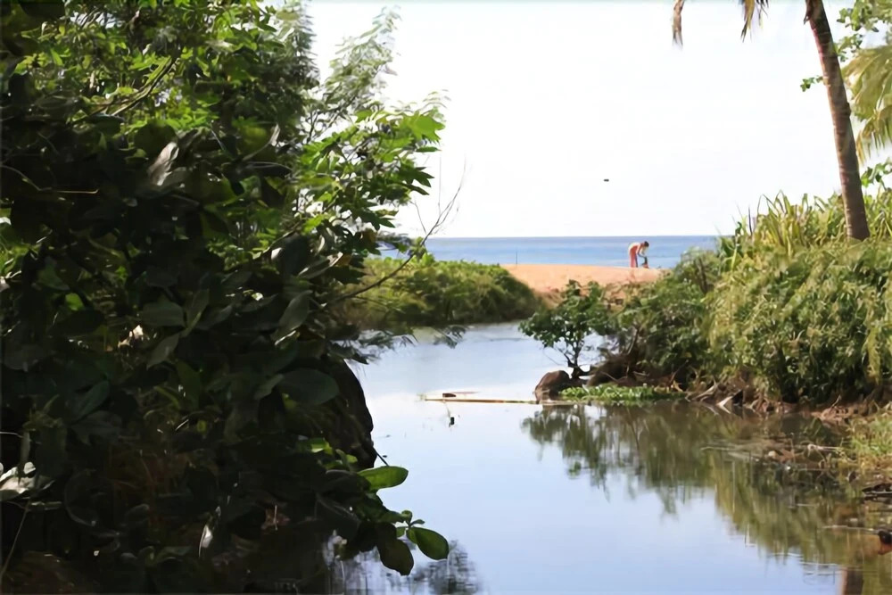 Oasis Grande Anse
