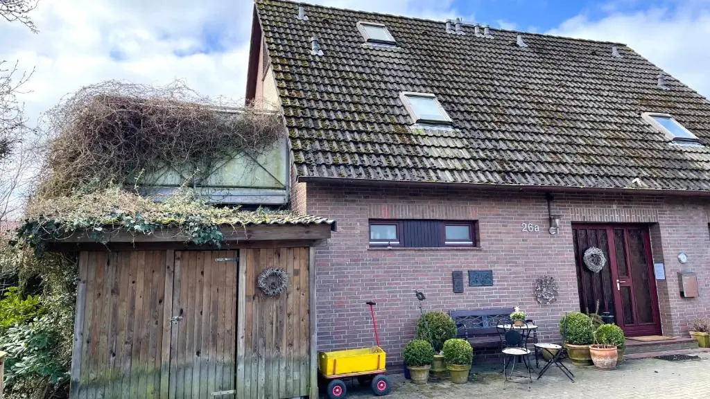 Haus Wexler 5 - OG