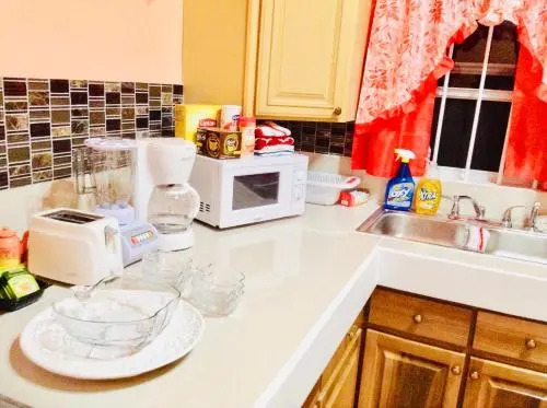 Alexander's Apartments