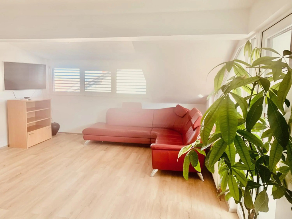 Luxury Family Apartment with Terrace FRIGO