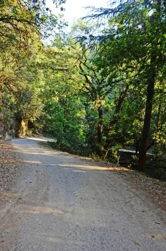 Ojaswi Himalayan Resort Mukteshwar