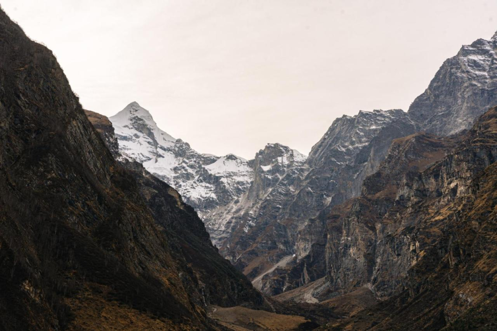 Badrinath Swiss Tents