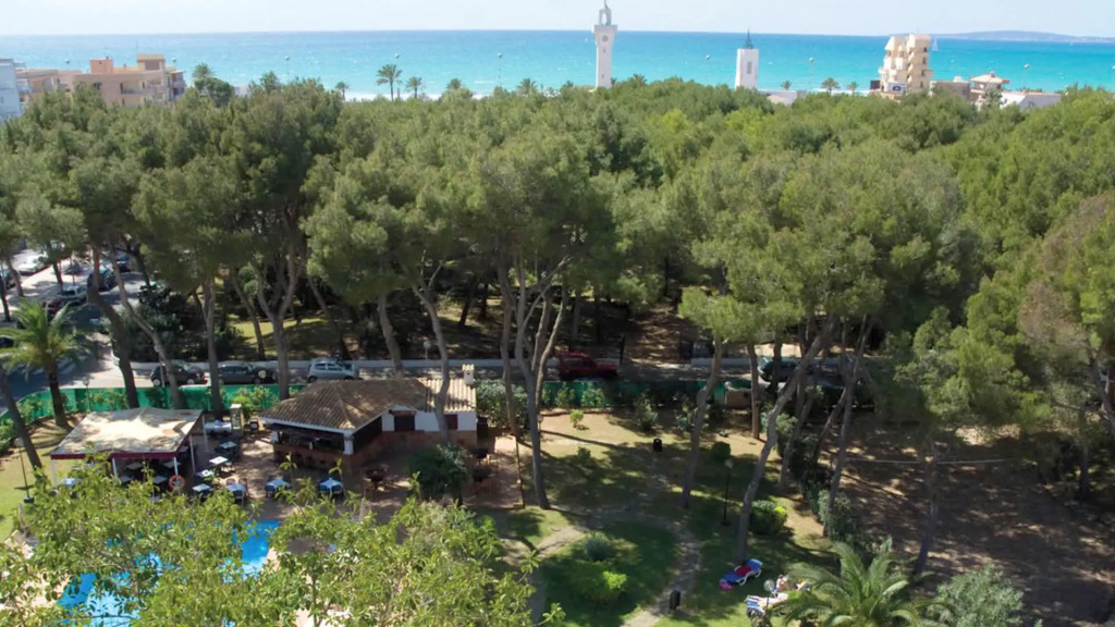 Hotel Riu Festival