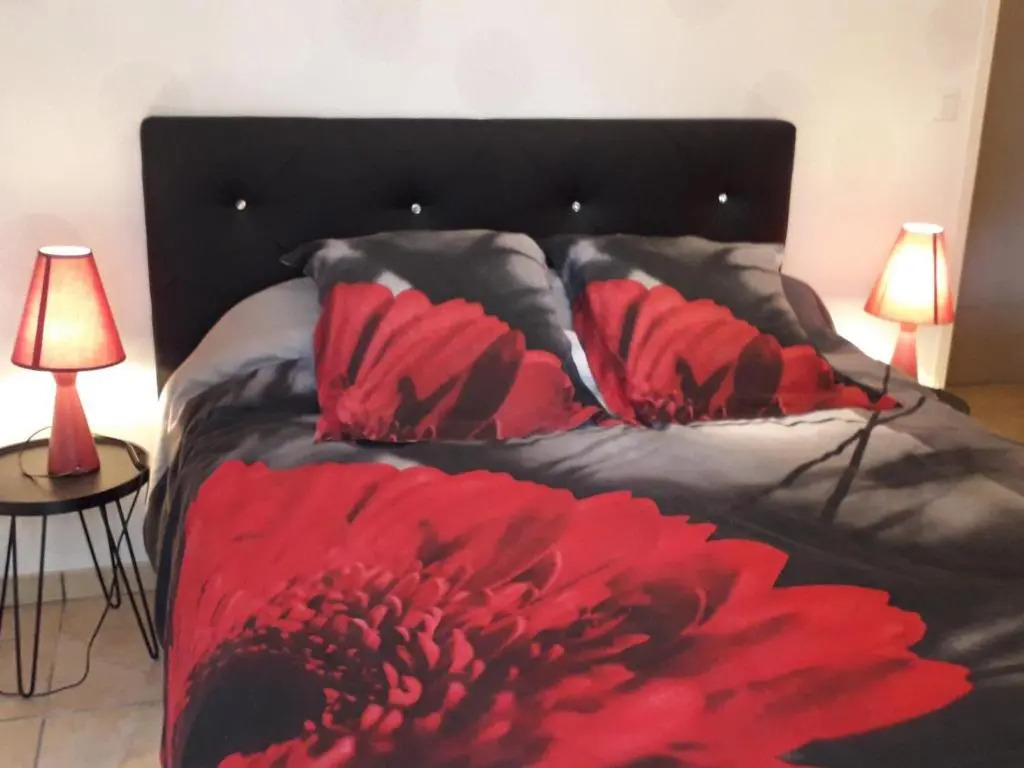 Charmante fermette avec jardin, animaux acceptés - FR-1-489-87