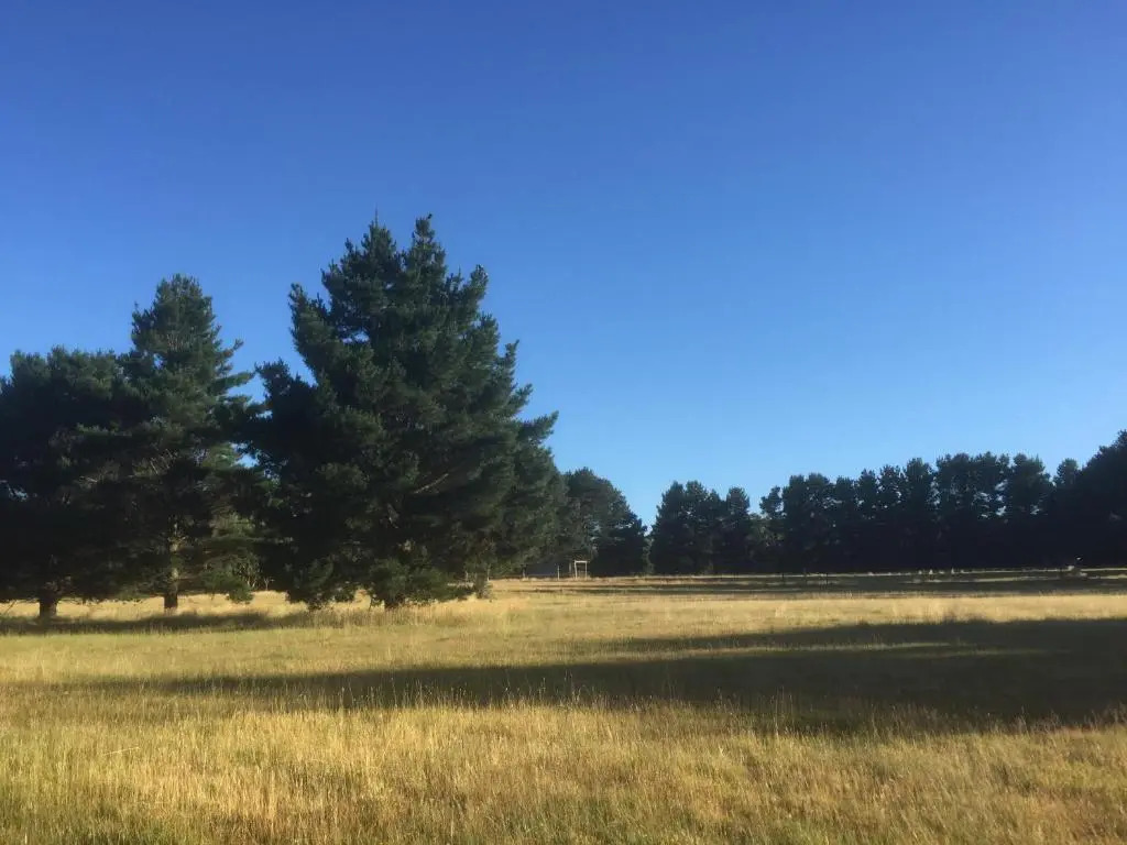 Helen's Homestead