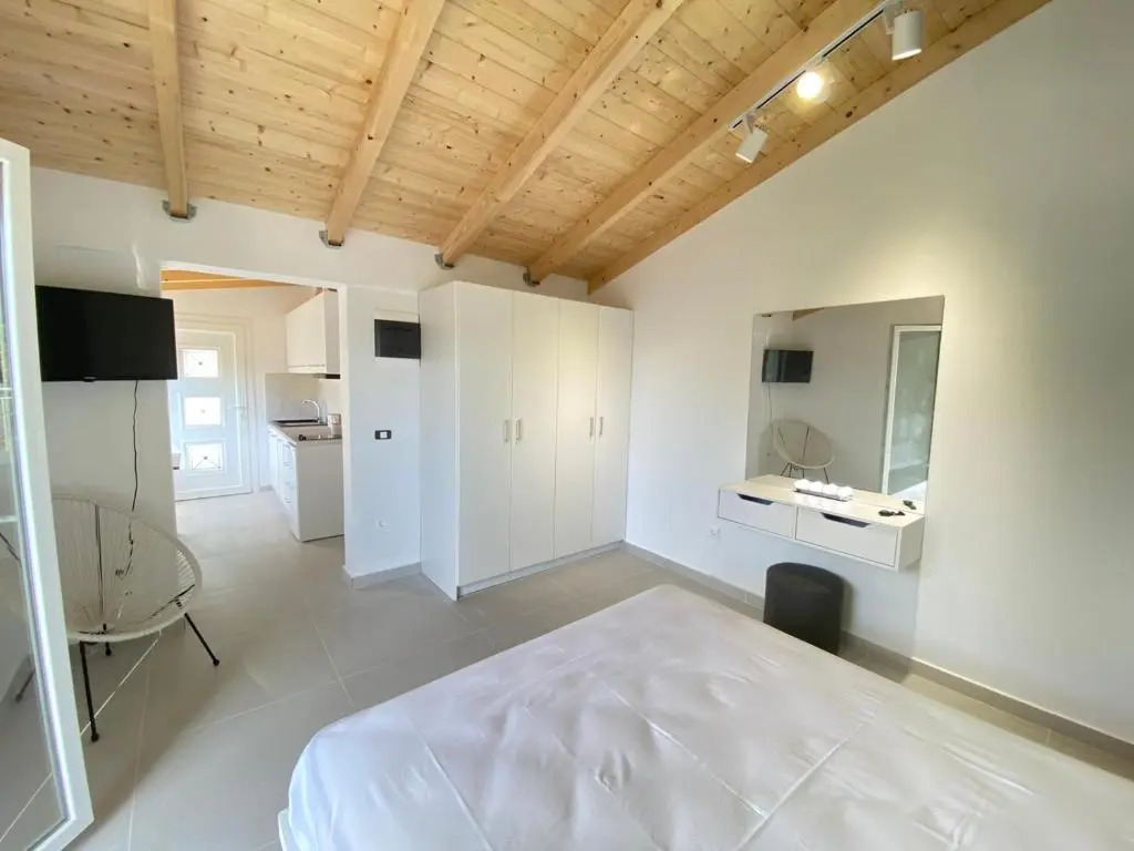 Alexander studio