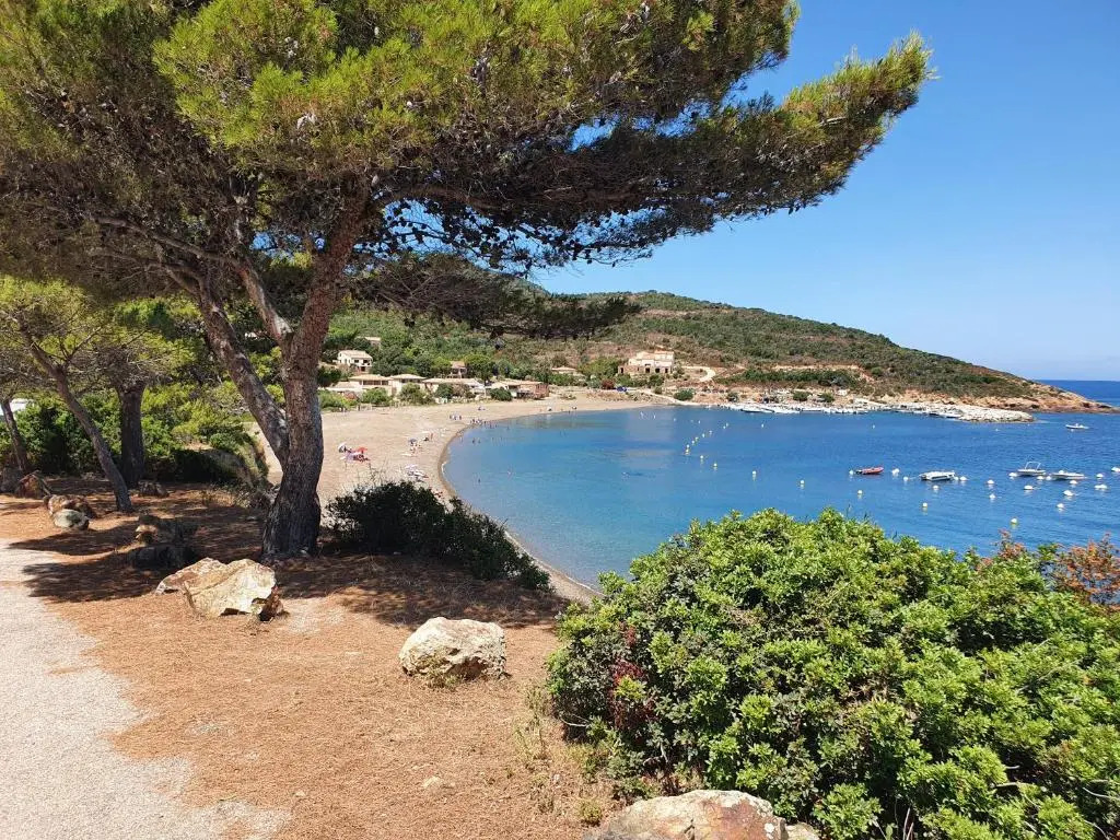 Villa les palmiers -Stretta di i mandarini