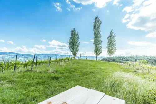 Gästezimmer & Buschenschank mit Weingut Hack-Gebell