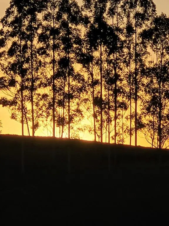 Estância Liberdade