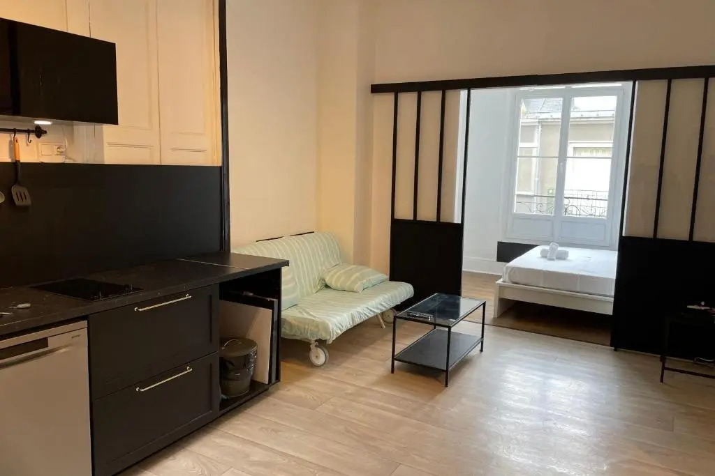 Voyages & Déplacements - Elégant Appartement - Hyper Centre - TOURS