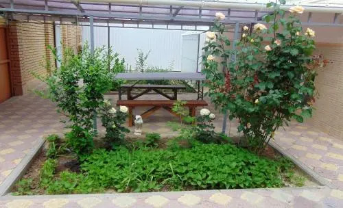 Belaya Dacha Guest House