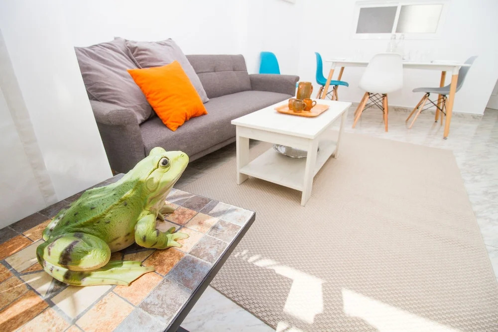 Spacious and Bright Apartment by La Recepción