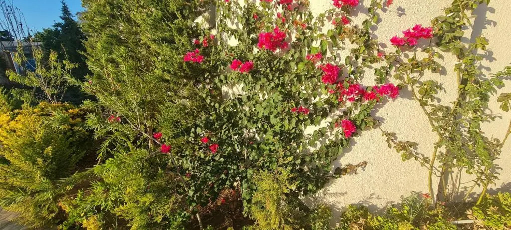 Villa Mardakan