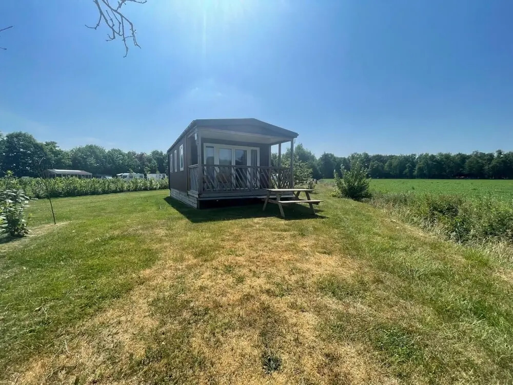 Serene Chalet in Schoonloo With Patio