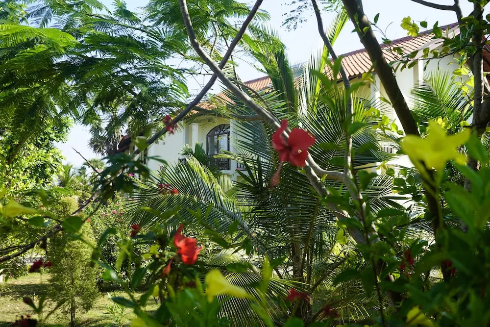 Shakti Vani Ayu