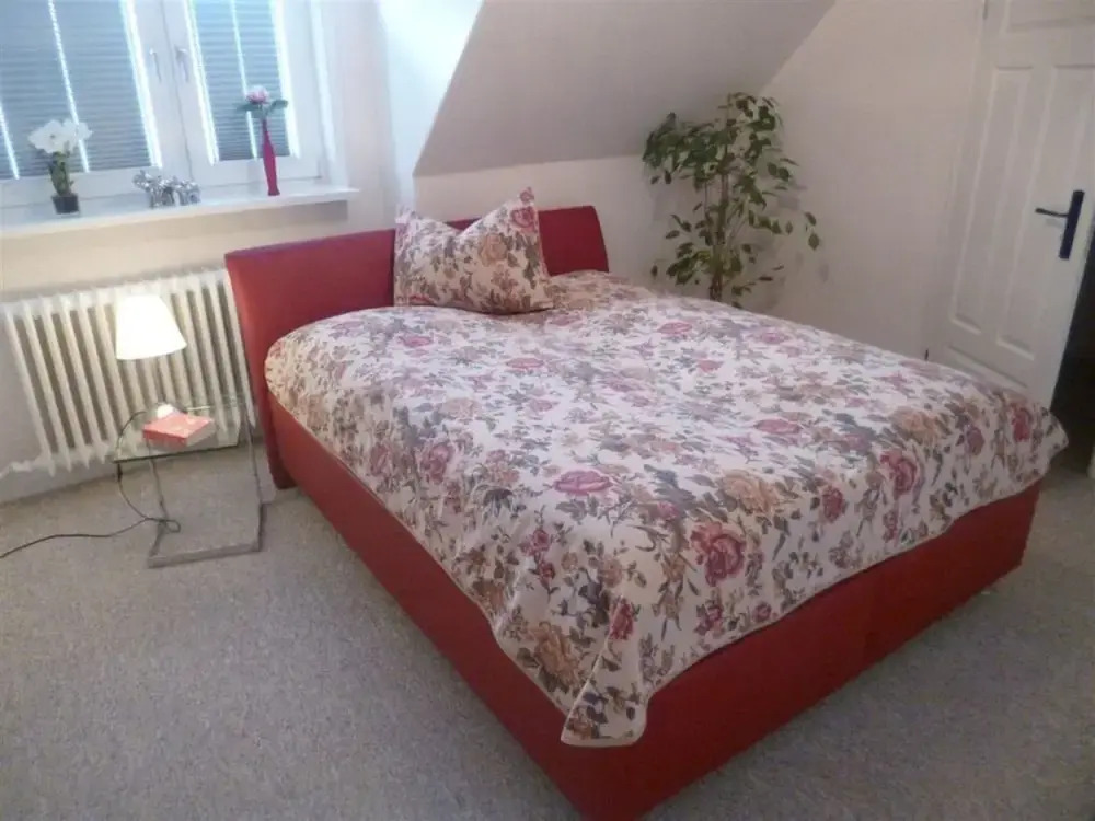 Rose Comfortable Holiday Residence