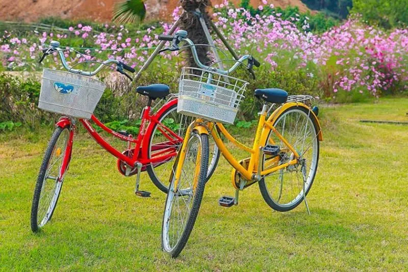 Gyeongju Moonlight Travel Pension