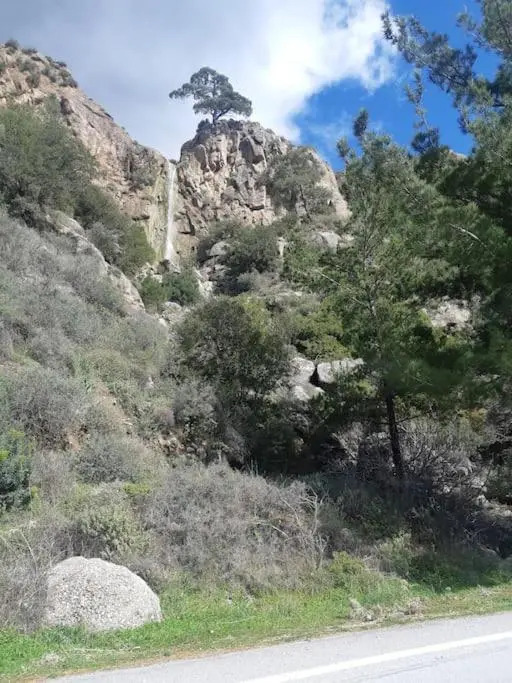 view home