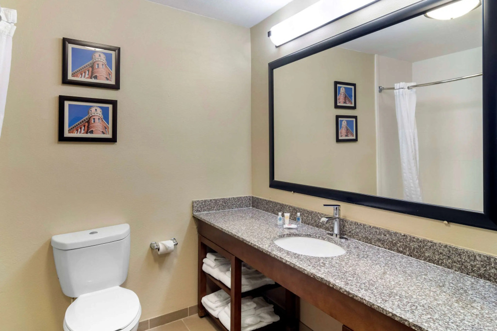 Comfort Inn & Suites Macon North I-75