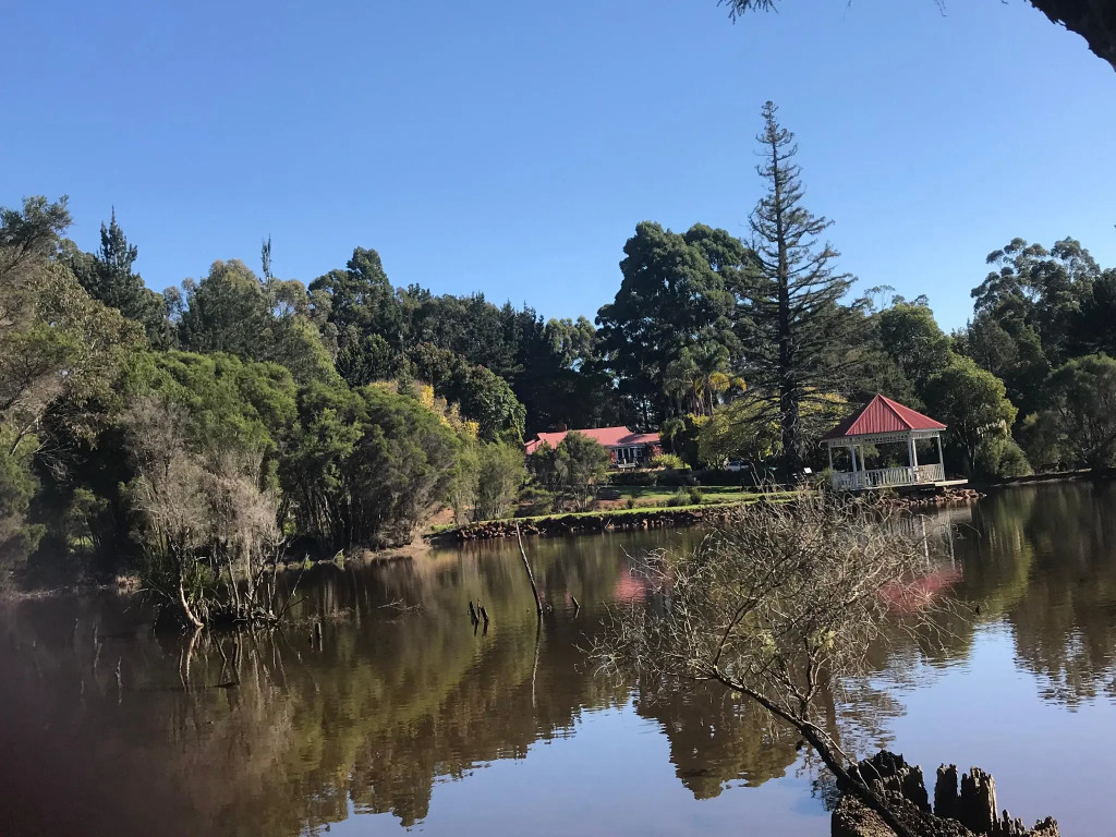Forest Lodge Resort