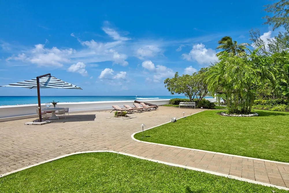 High Trees Blue Sky Luxury