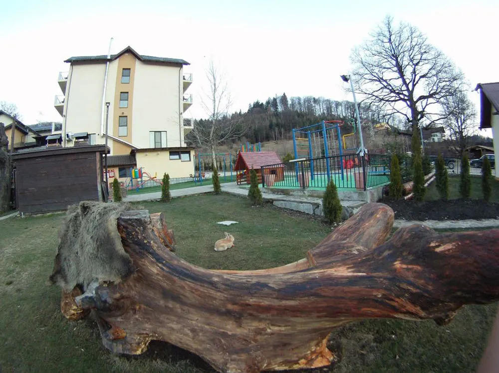 3 Stejari Brasov