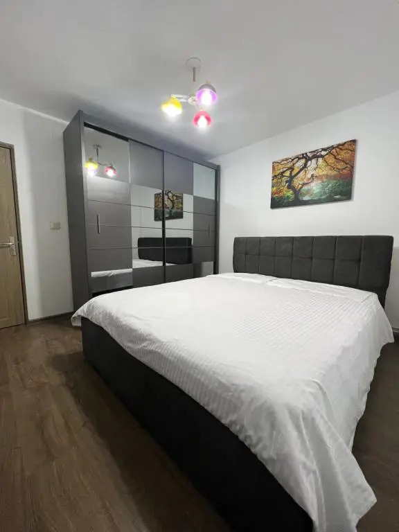 Apartament Elena