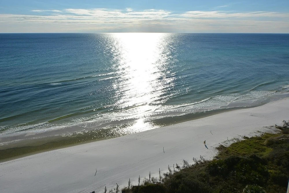 One Seagrove Place Unit 1203 2 Bedroom Condo by Redawning