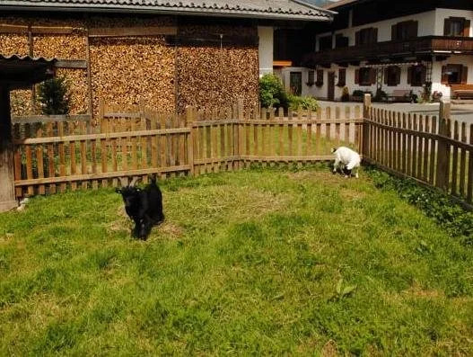 Plankenhof