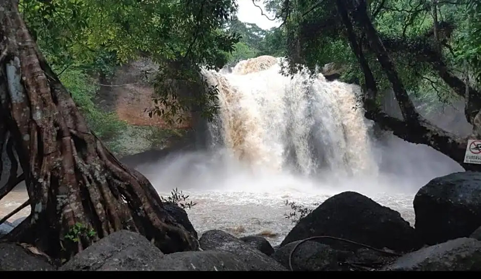 Pakchong hostel & wildlife tour