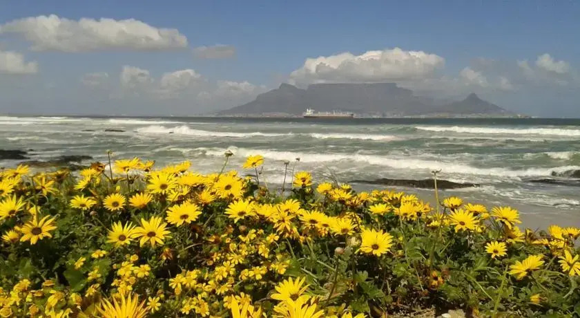 Bloubergsands Holiday Home