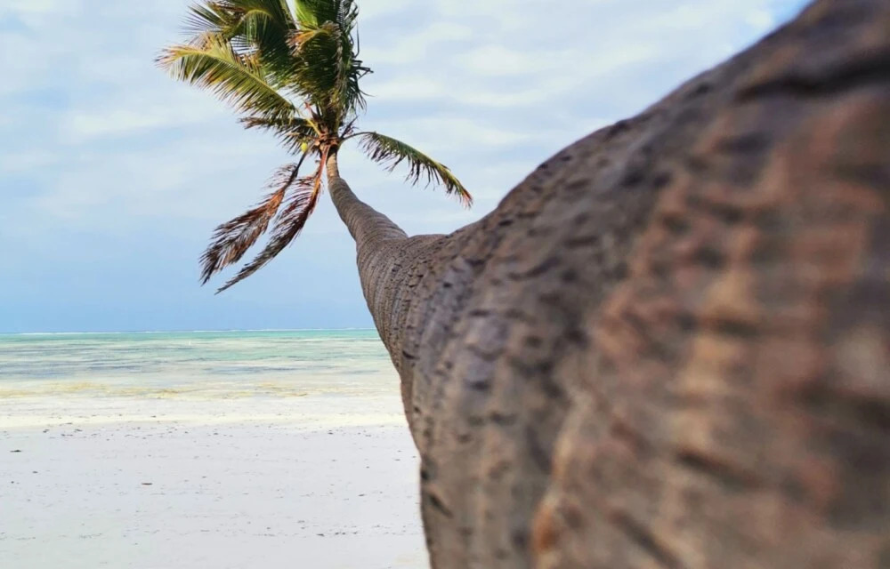 Serenity House Zanzibar