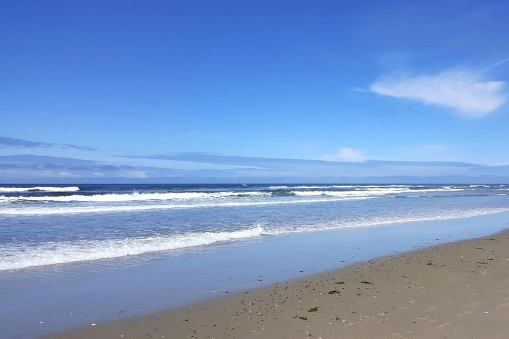 Starr Seaside