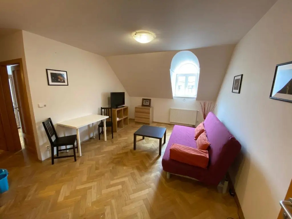 Beautiful Apartment Near Florenc Area of Prague
